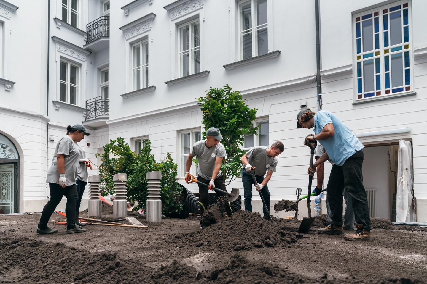 zieleń w mieście, zieleń, roślina, rośliny, krzewy, krzew, usługa ogrodnicza, rośliny w mieście, sadzenie roślin, sadzenie, ziemia, projektowanie roślin