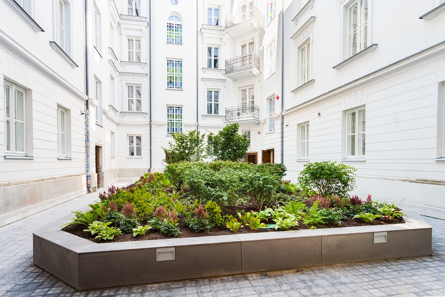 zieleń w mieście, zieleń, roślina, projektowanie roślin, projektowanie ogrodów, astilbe, tawułka, hosta, paproć, rośliny, krzewy, krzew