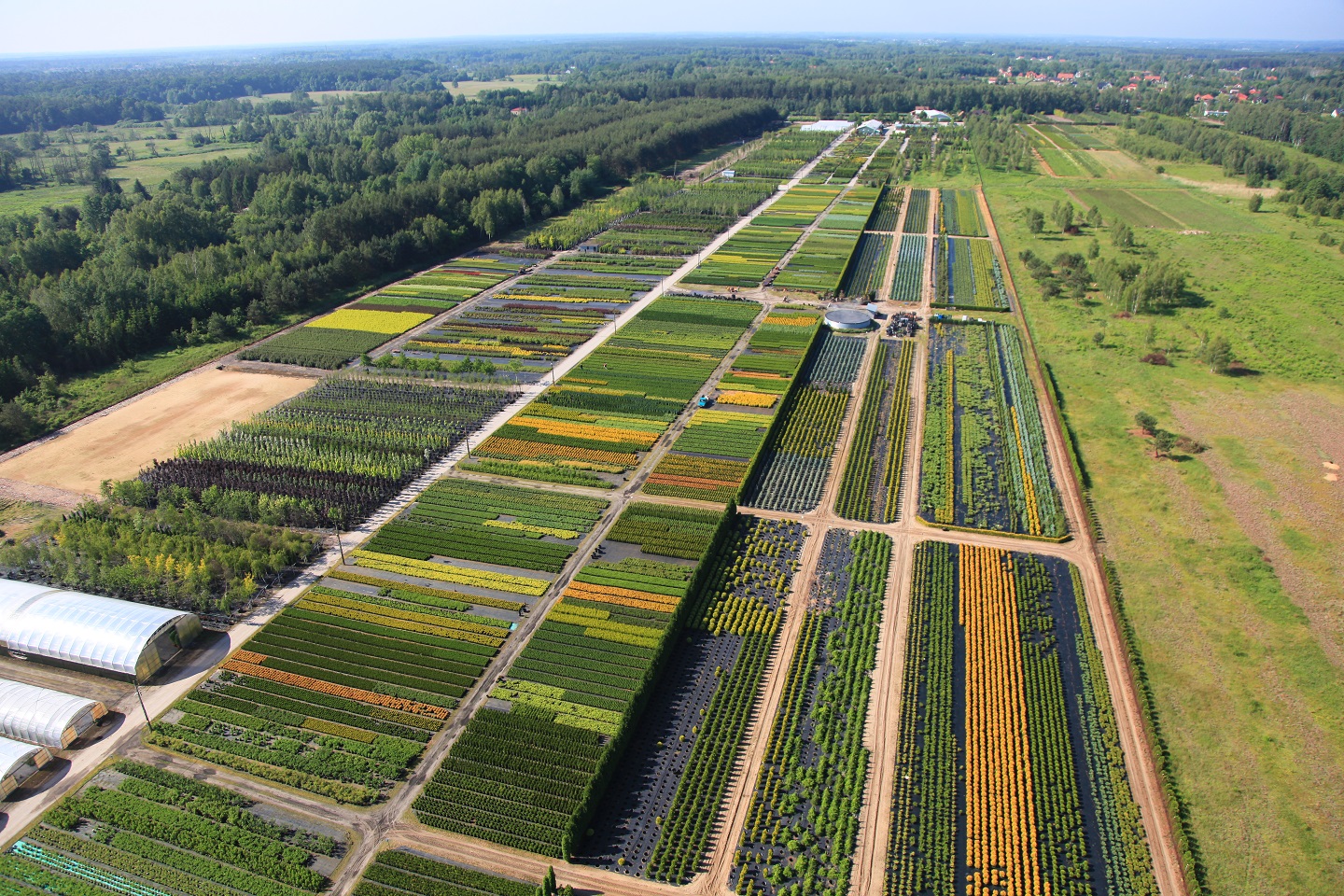 szkólka, szkólka roślin, różnorodność roślin, widok z góry, zieleń